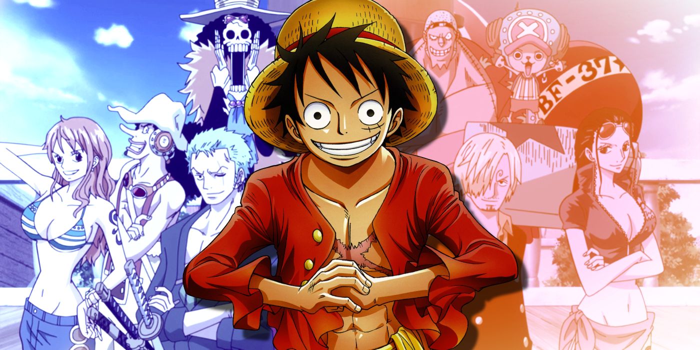 All of Luffy's crew : Straw Hat Pirates 10th Member