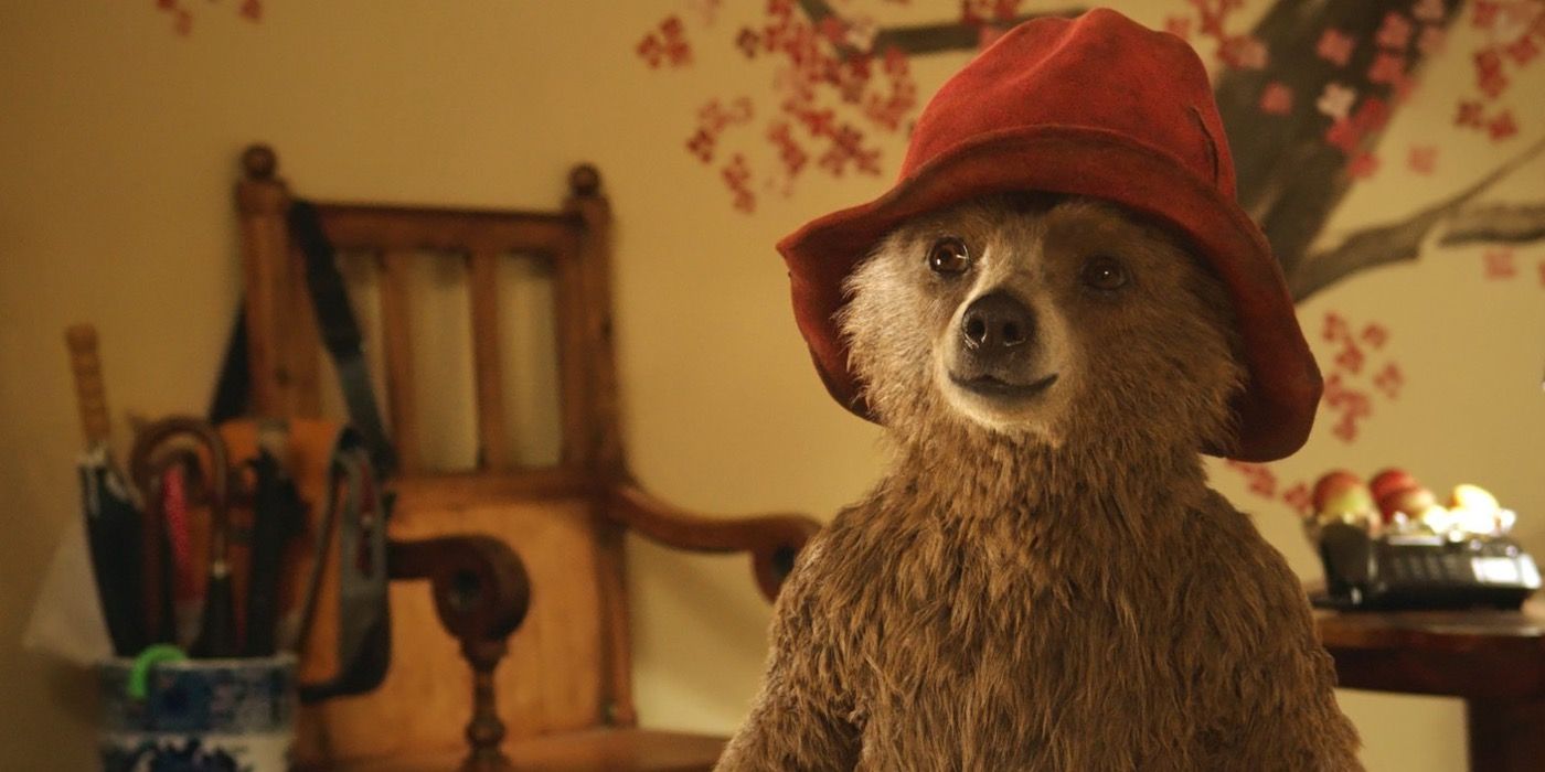 Paddington with his hat on in his home