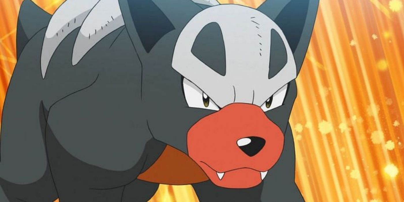 Houndour growling in the Pokémon anime