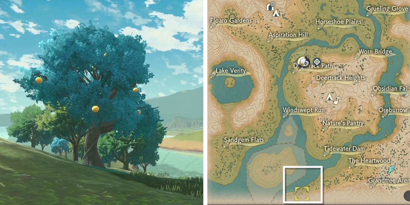 Cherubi trees in Pokémon Legends Arceus next to their location on the game's map