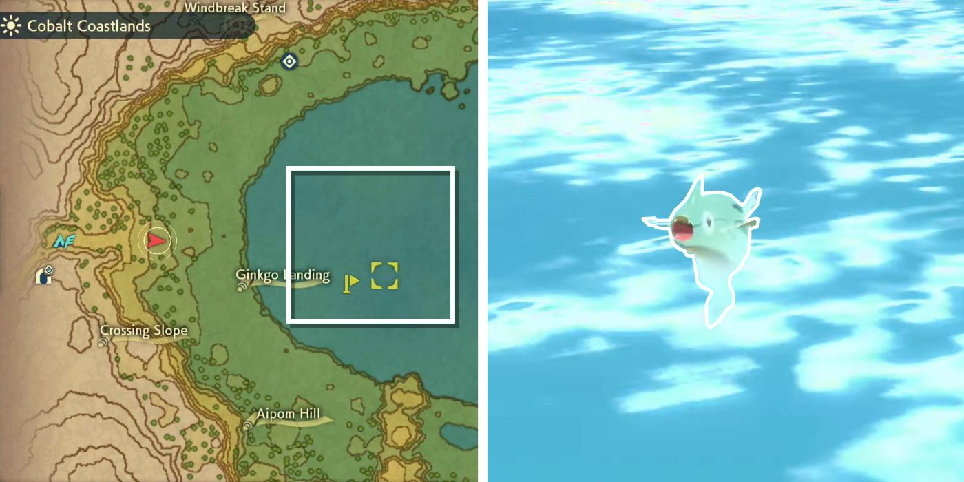 An image of the map location in Pokémon Legends: Arceus where Remoraid can be found next to a picture of the Pokémon itself in the water.