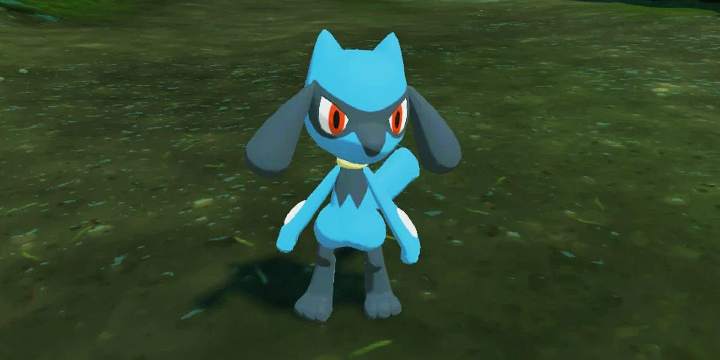 Baby Pokemon Riolu standing in some grass