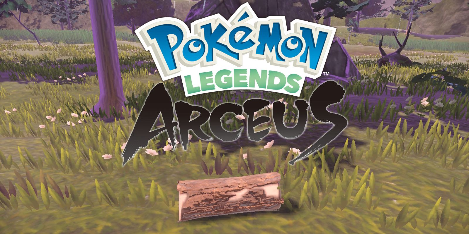 The logo for Pokémon Legends Arceus above a large piece of wood