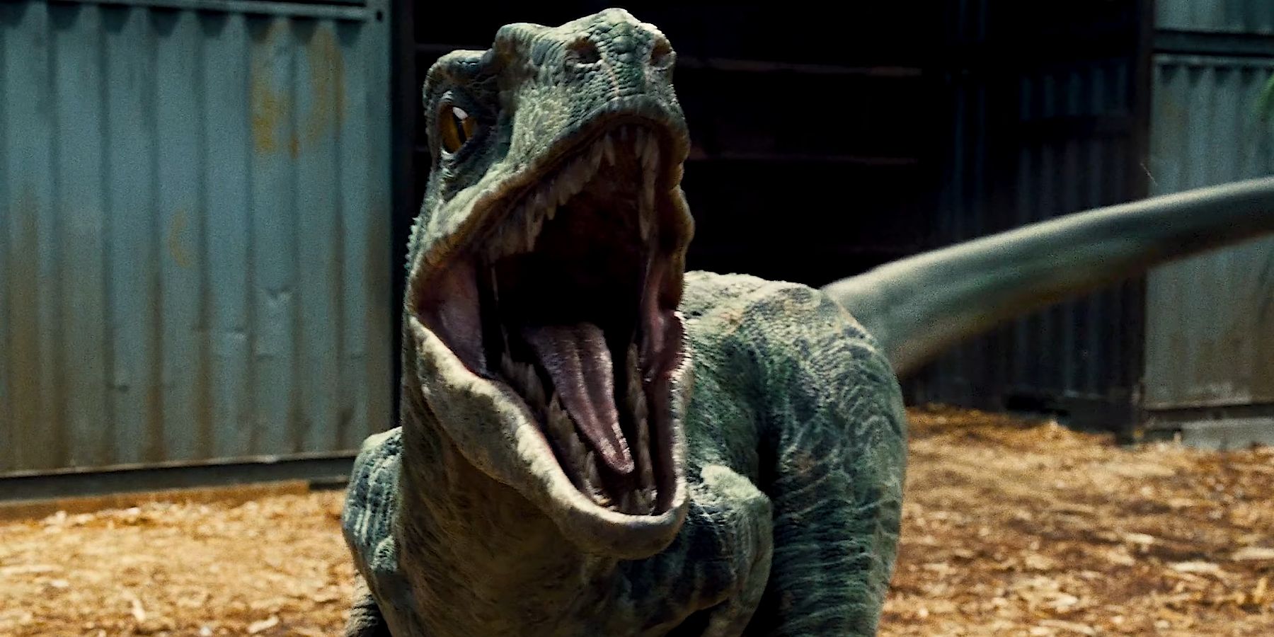 Raptor named Delta roaring at Owen Grady in Jurassic World