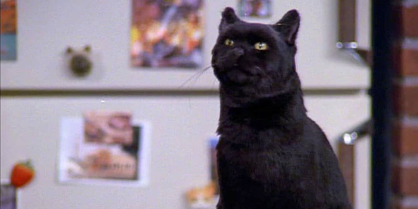 Sabrina The Teenage Witch: 10 Ways The 1996 Show Holds Up Today