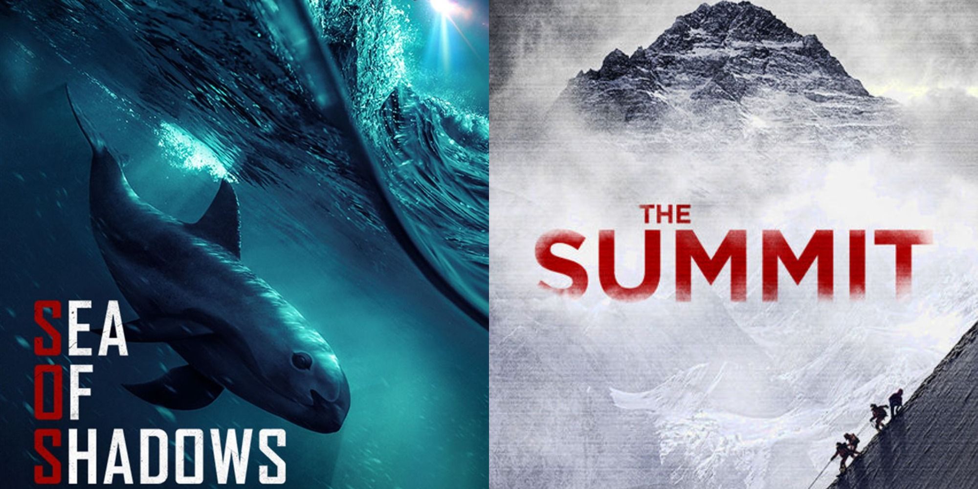 Split image showing posters for the documentaries Sea of Shadows and The Summit
