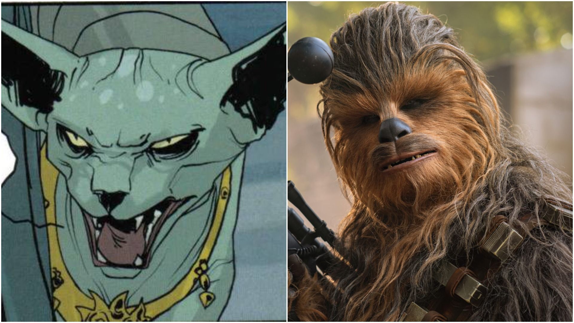 Split Image of Chewbacca and Lying Cat