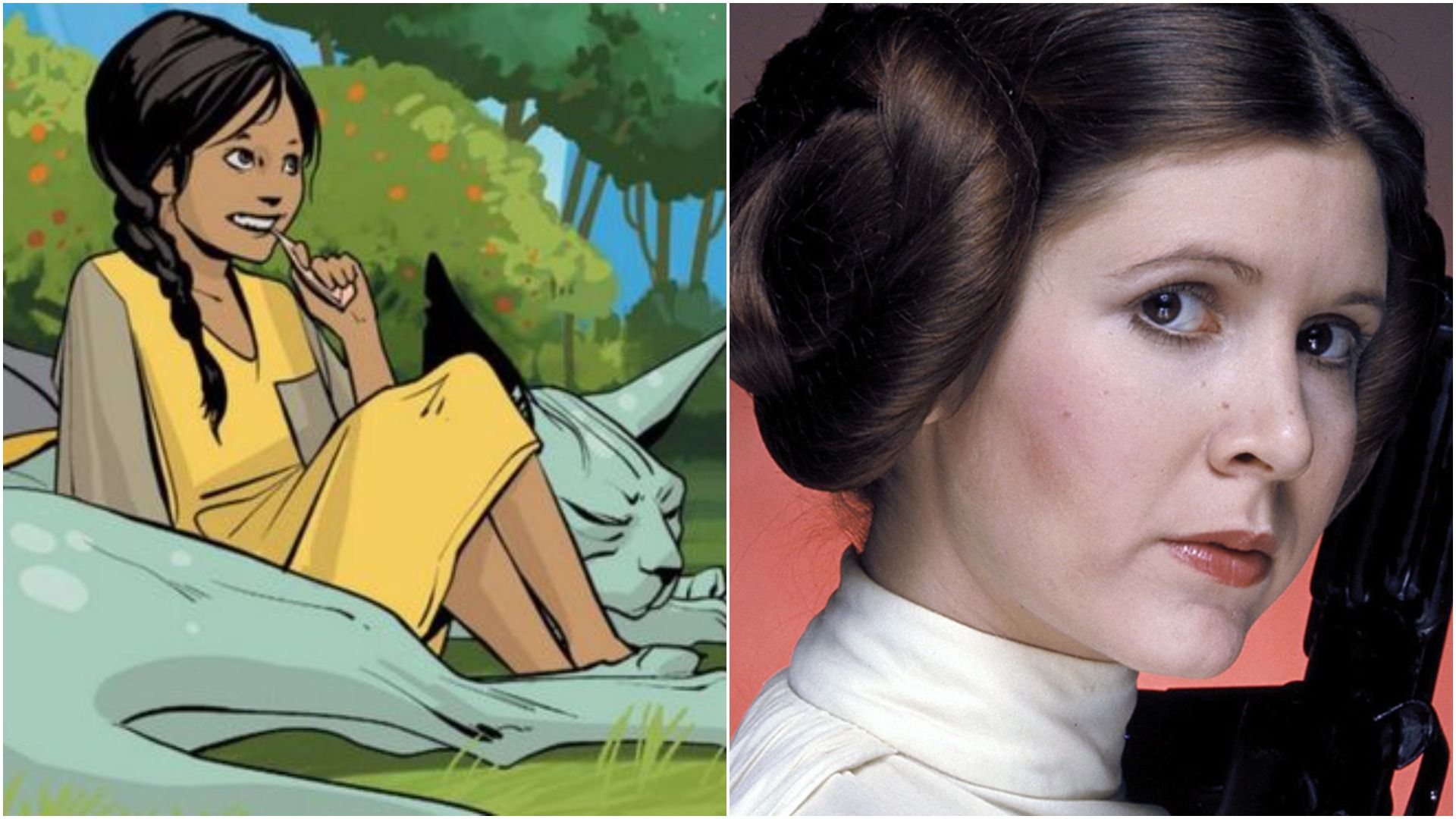 Split Image of Sophie and Leia