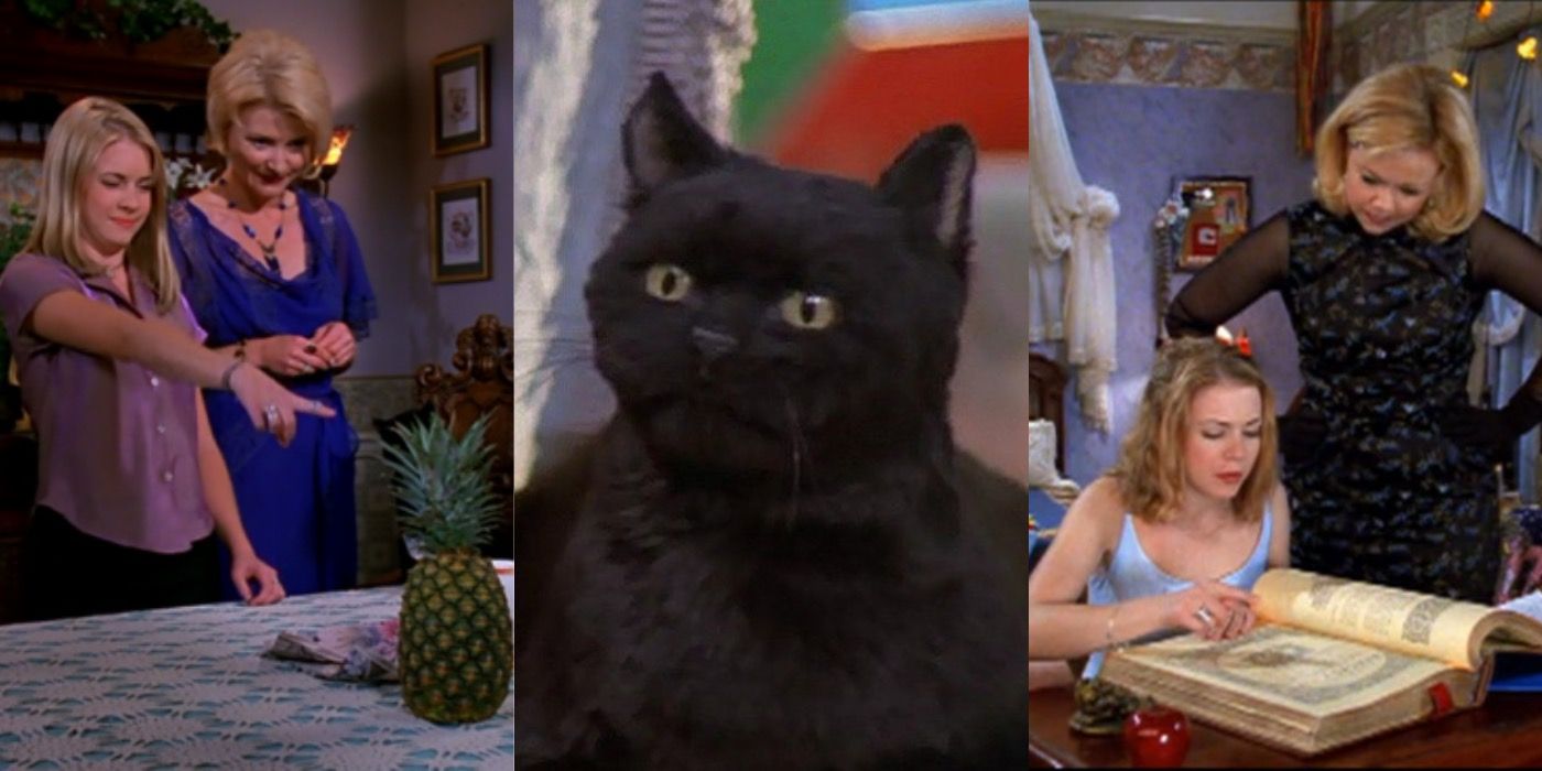 Split image showing Sabrina and Zelda, Salem, and Sabrina and Hilda in Sabrina the Teenage Witch