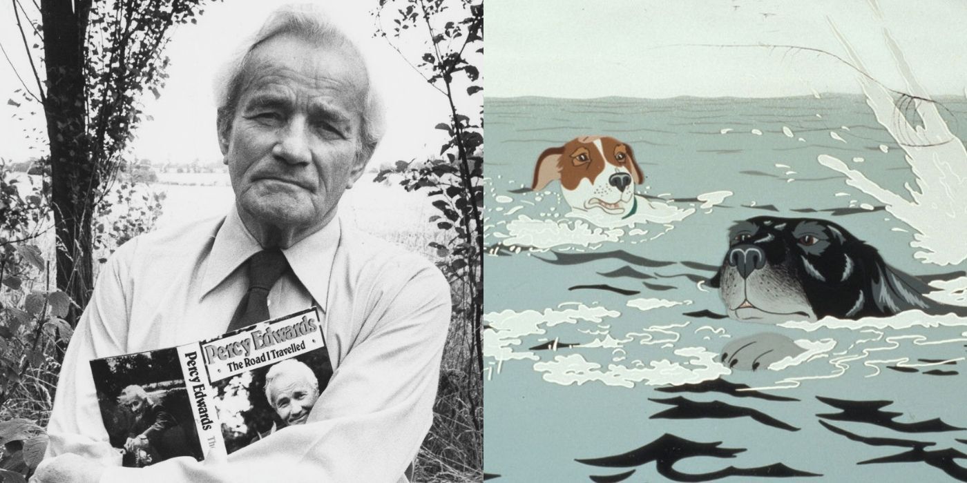 Split images of Percy Edwards holding a book and two dogs swimming in The Plague Dogs