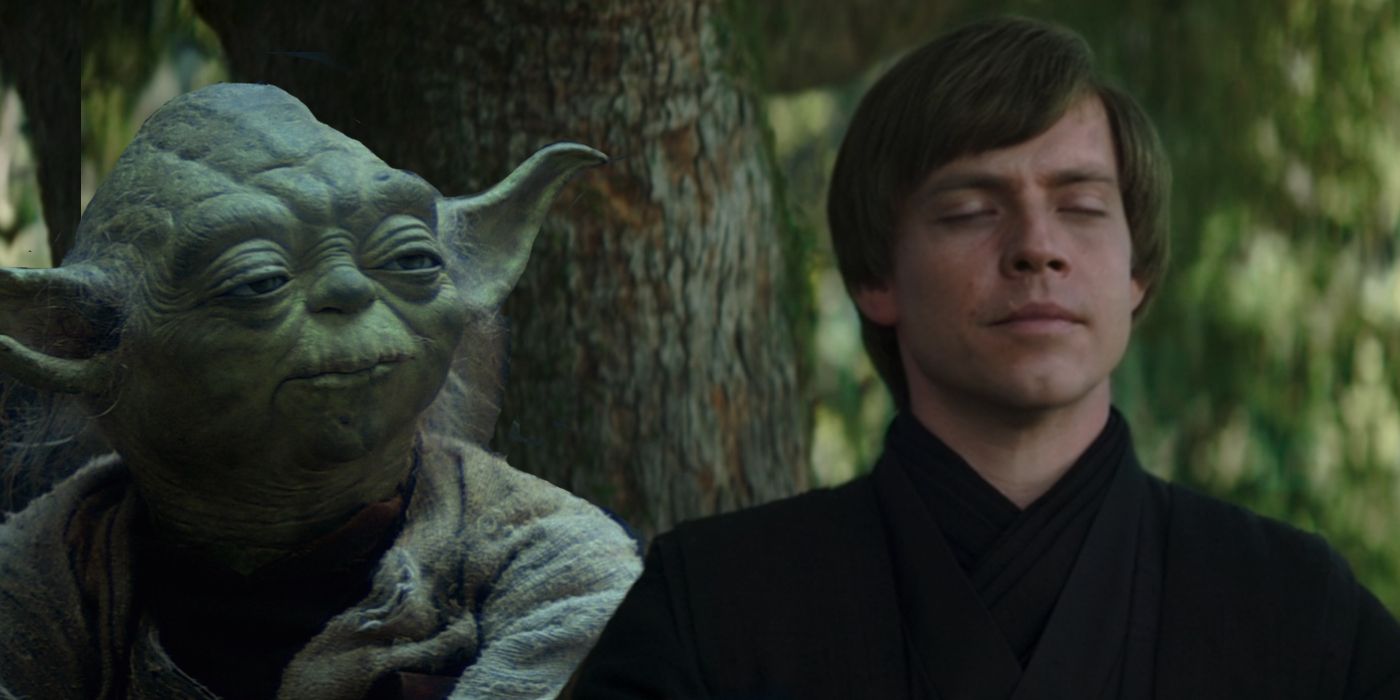 Star Wars Luke Skywalker Yoda