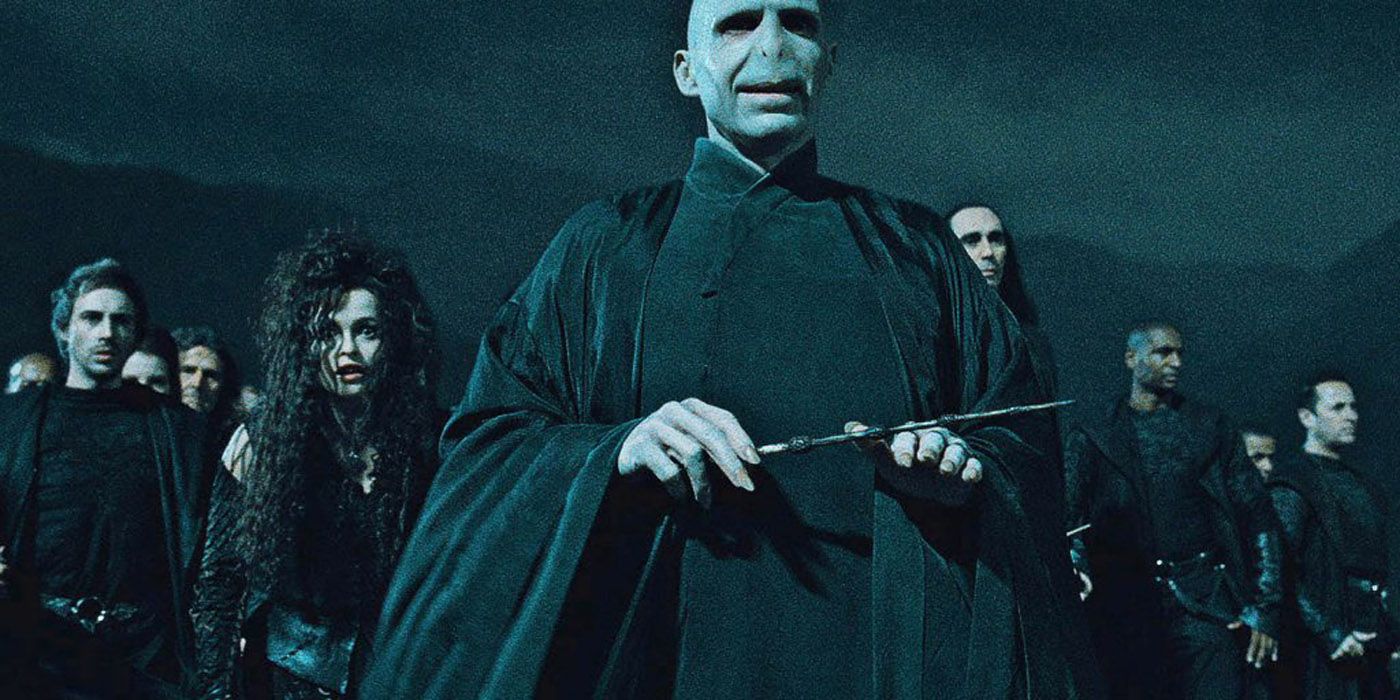 Voldemort leads the Death Eaters.