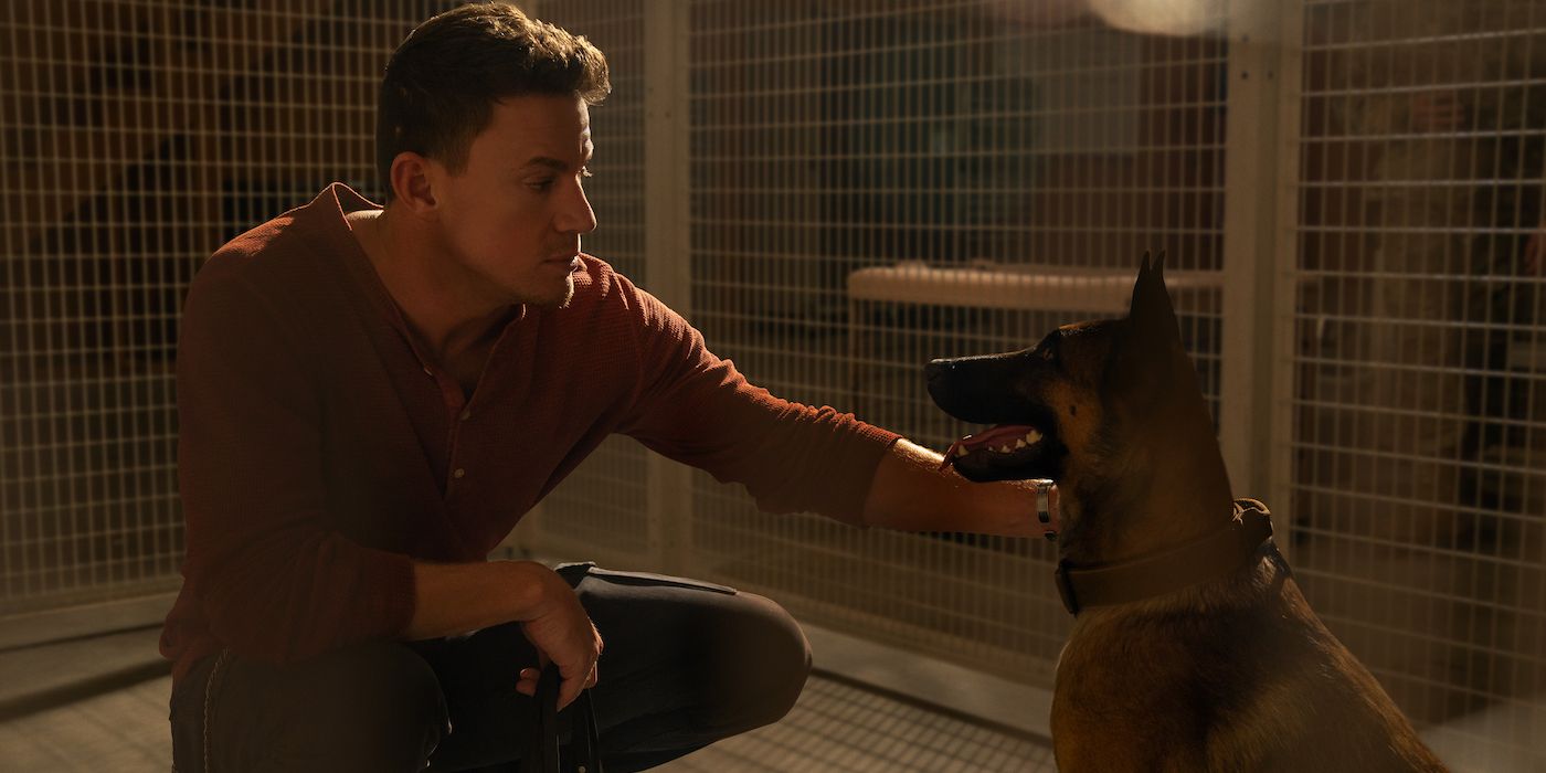 dog movie channing tatum