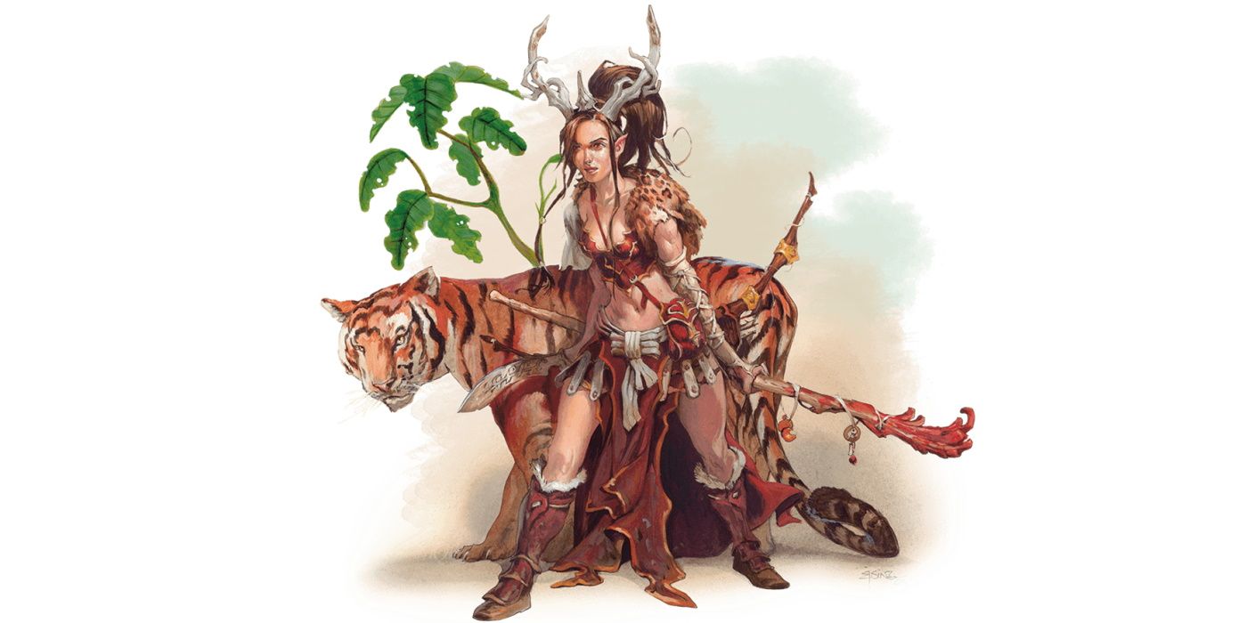 dungeons and dragons circle of the moon druid