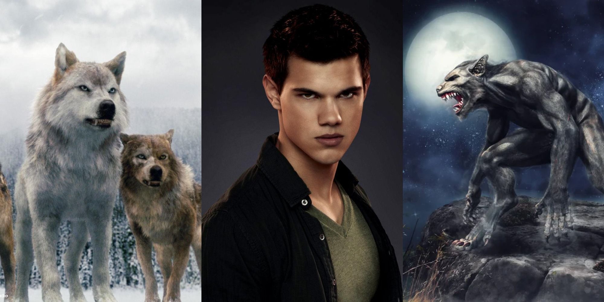 Split image of Twilight werewolves, Jacob, and a conventional werewolf.
