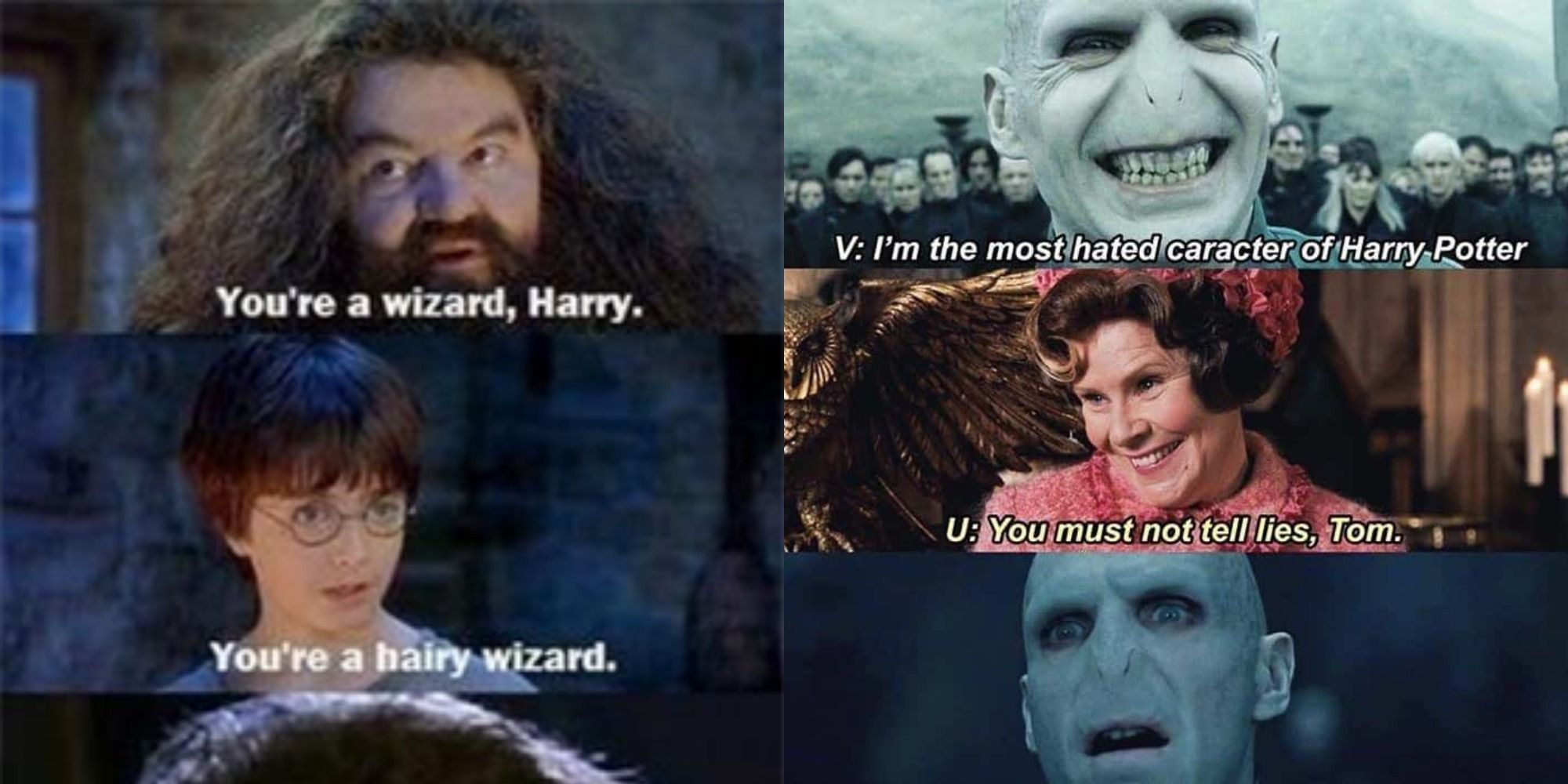 20 Hilarious Harry Potter Memes That Prove The Series Makes No Sense