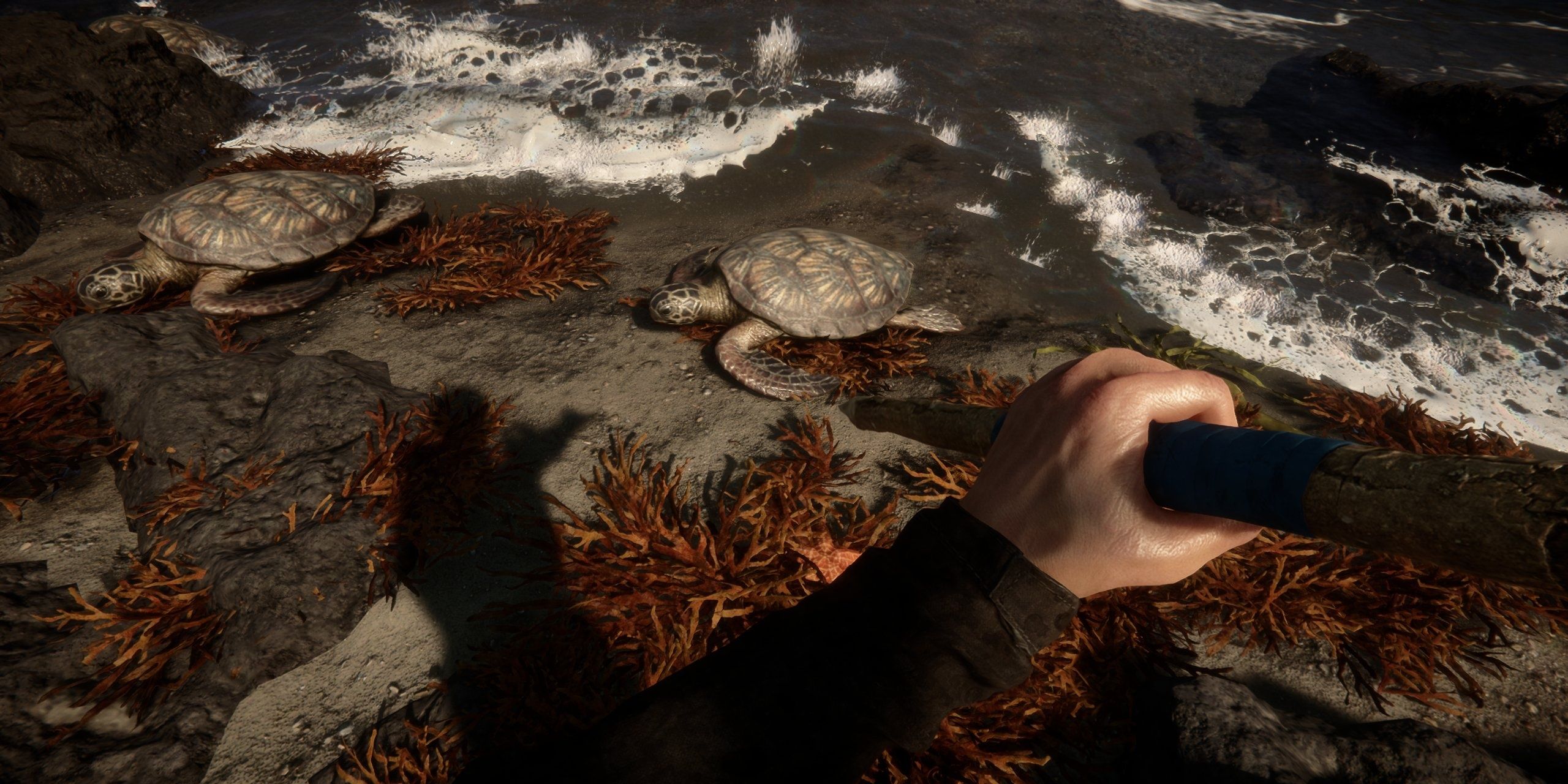Screenshot from the game Sons Of The Forest showing the player character hunting a tortoise
