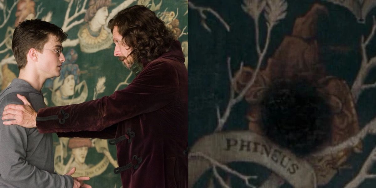 Harry Potter and Sirius Black in front of the tapestry that confirms Phineas as a Black.