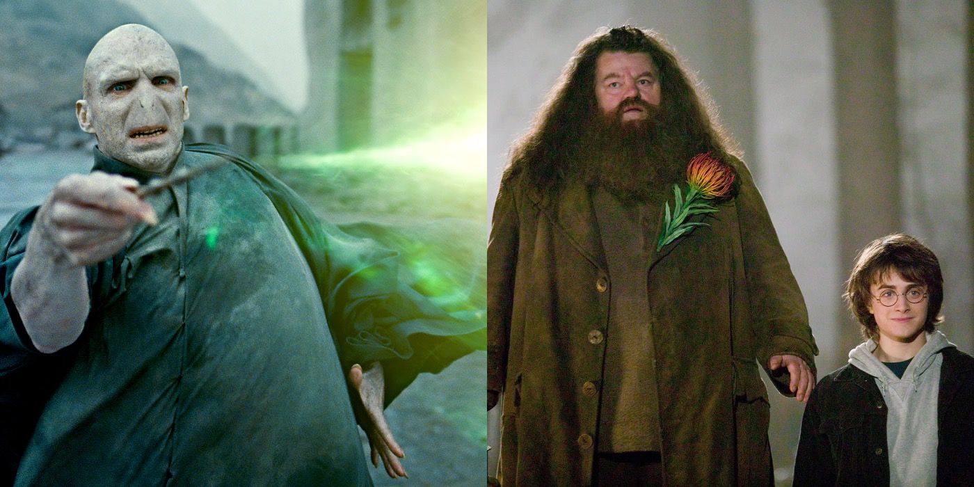 A split image showing Voldemort, and Hagrid and Harry in the Harry Potter movies