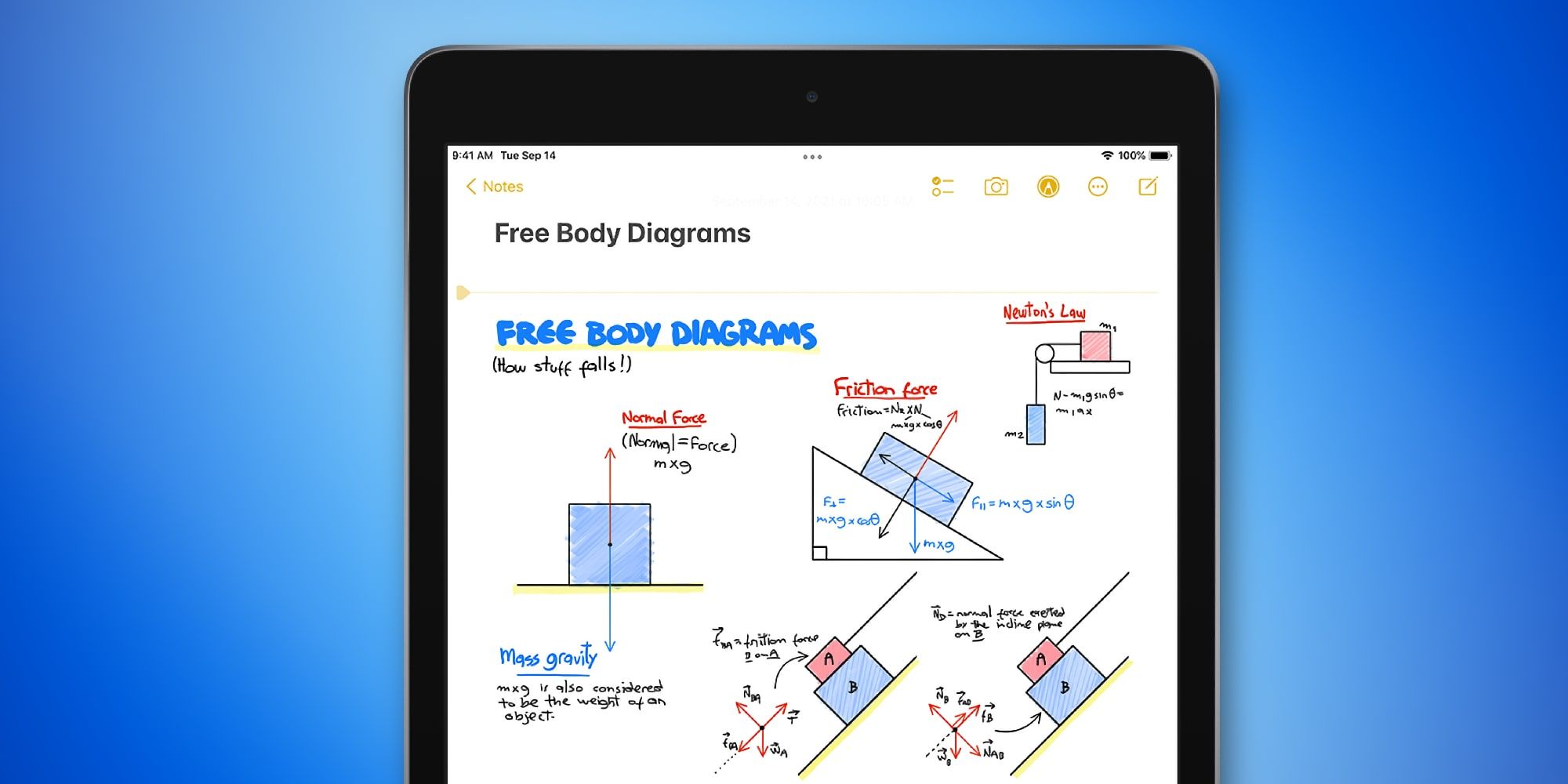 Apple iPad Notes Perfect Drawings