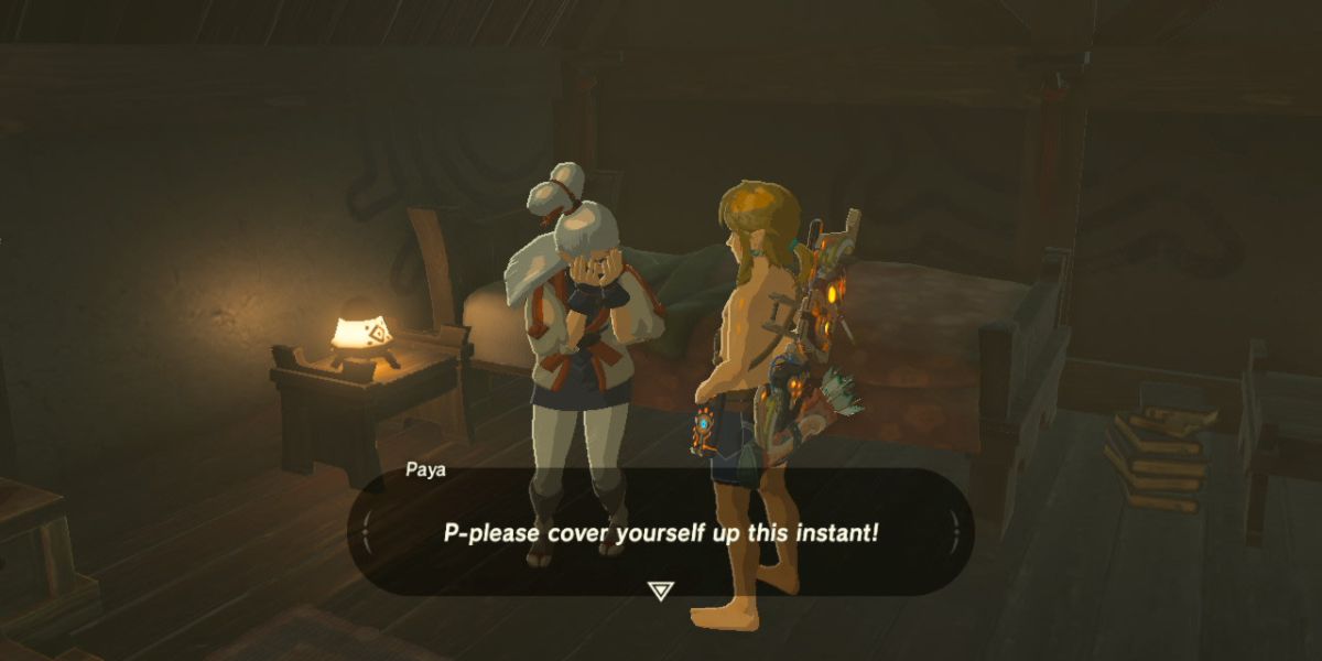 BOTW: Why Hestu Won't Give Upgrades If Link Isn't Wearing Anything