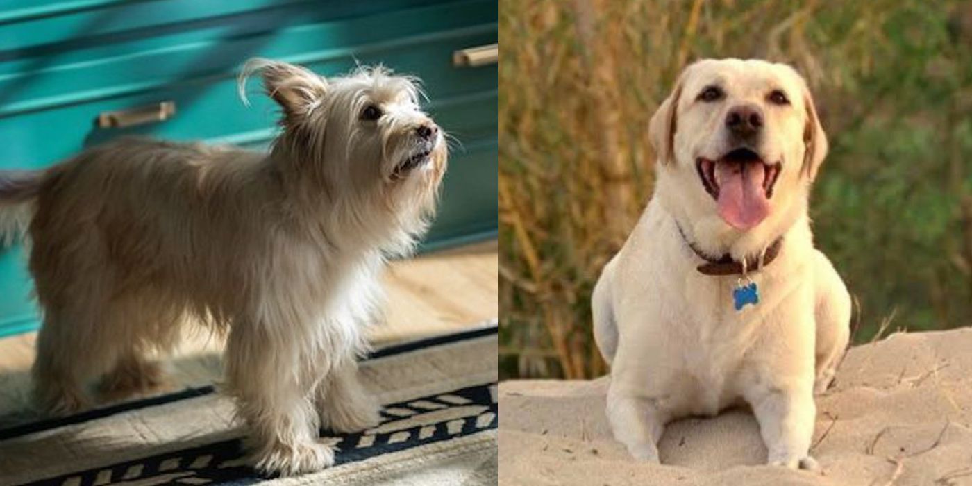 Yellowjackets The Main Characters And Their Lost Counterparts