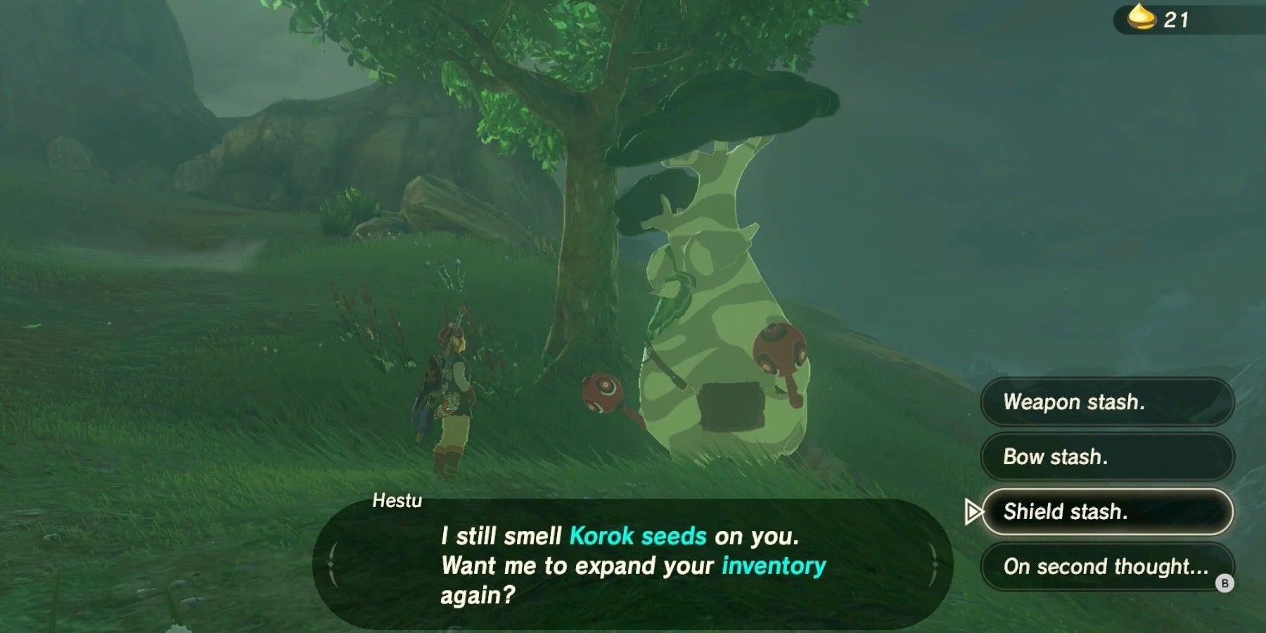 Breath of the Wild Expanding Equipment Slots