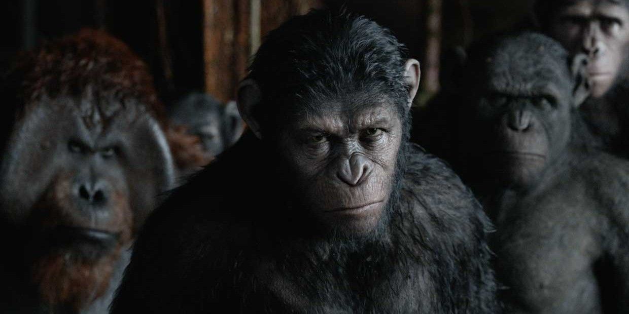 Caesar Maurice and Luca in Dawn of the Planet of the Apes