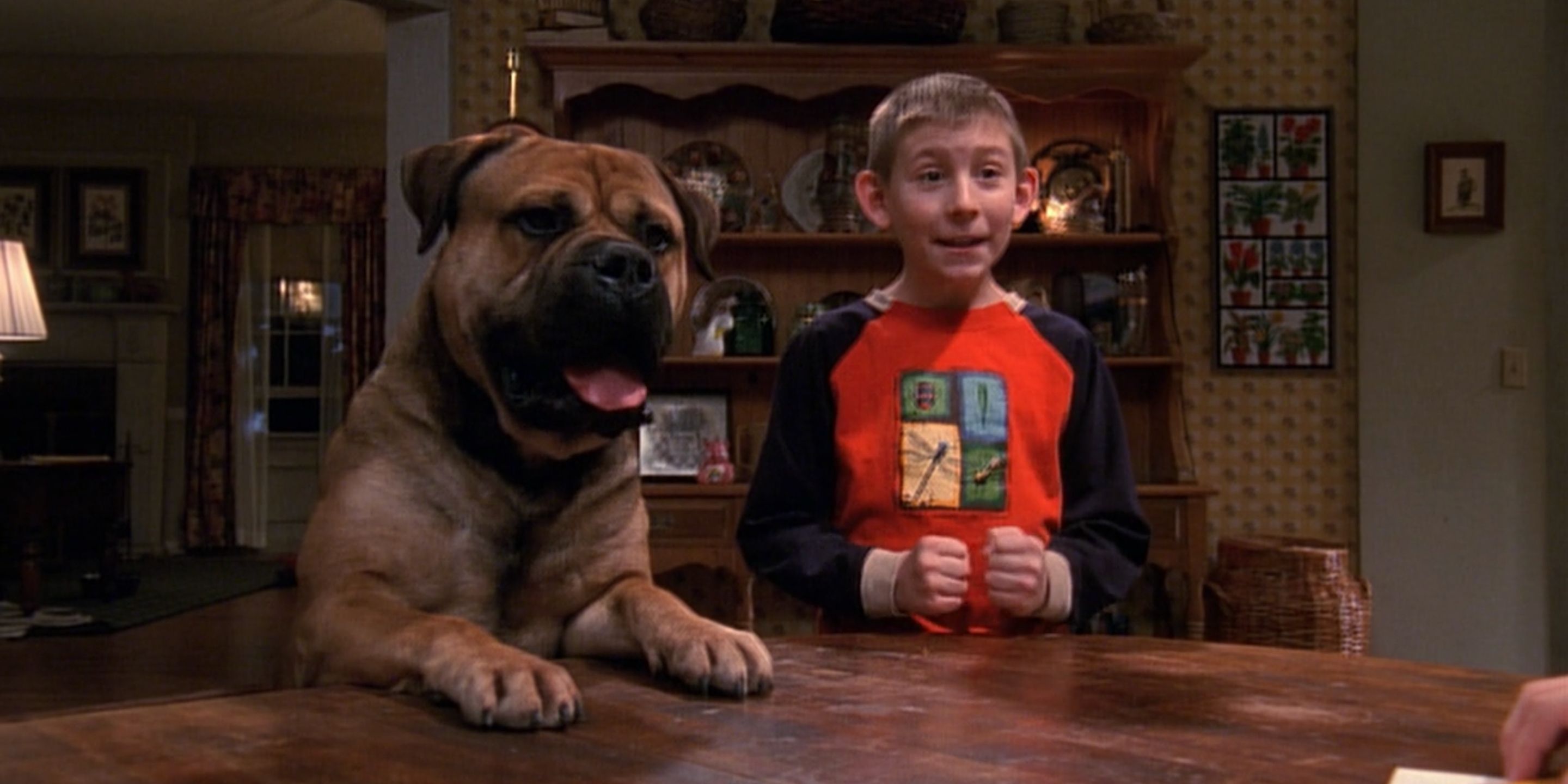 Dewey's Dog at the table in Malcolm In The Middle