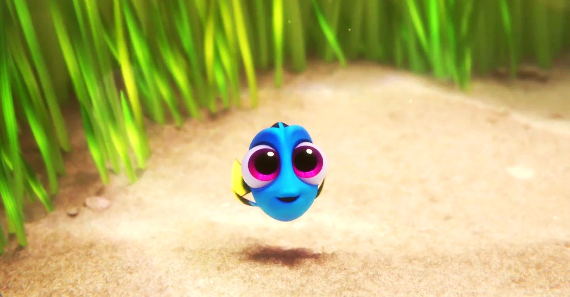 Finding Dory baby Dory 2016 wide