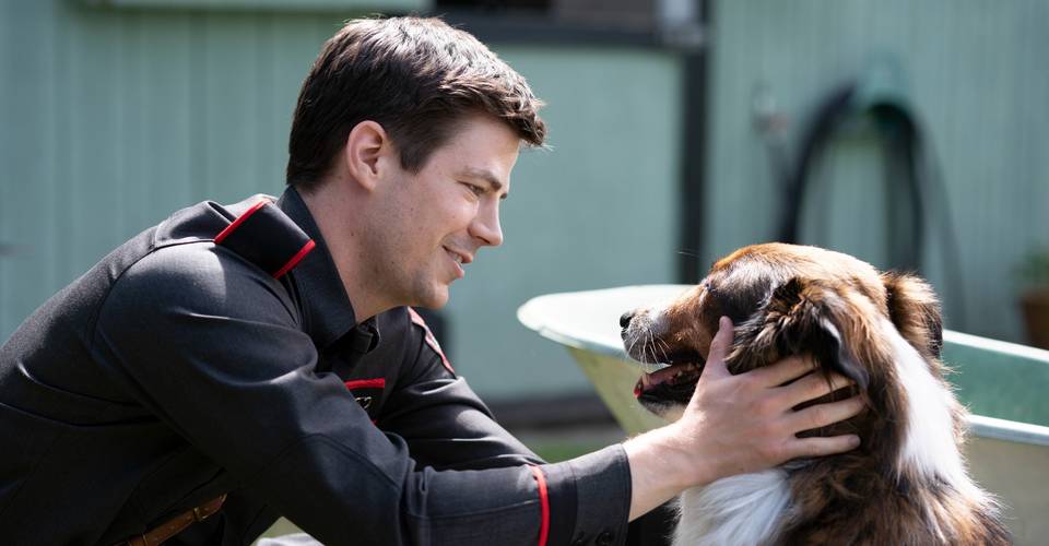 Rescued By Ruby Review: Grant Gustin Leads Earnest & Overly Sappy Dog Flick