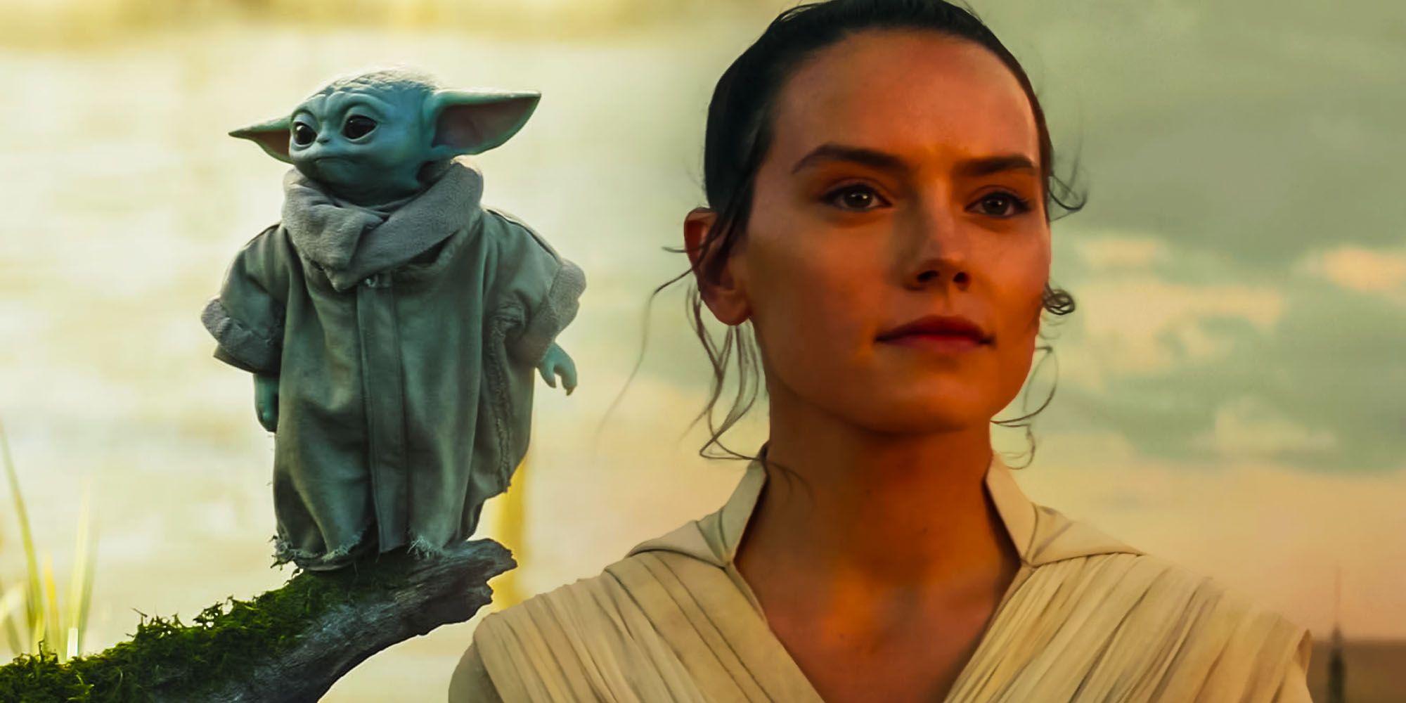 Grogu Could Play a Major Role in Daisy Ridley's Rey STAR WARS