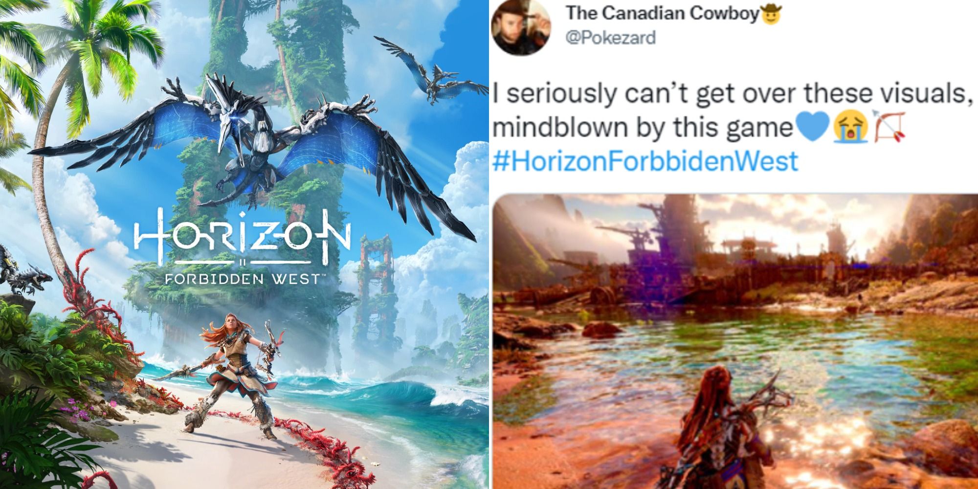 Horizon Forbidden West DLC teased in actor's quickly deleted tweet - Dexerto