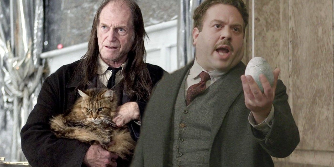 Jacob's sibling's cat, Harry Potter Wiki