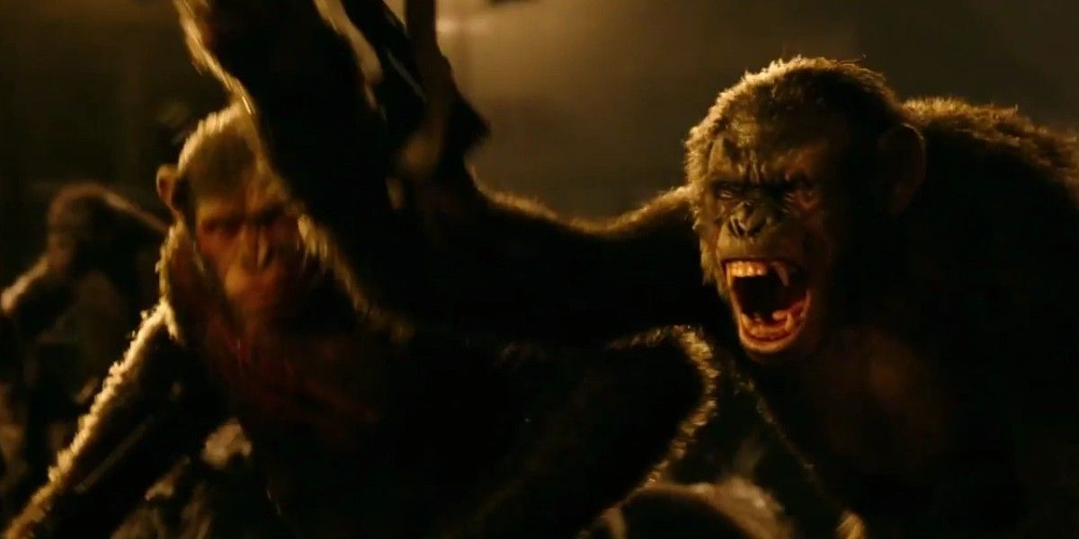 Koba and his Army in Dawn of the Planet of the Apes