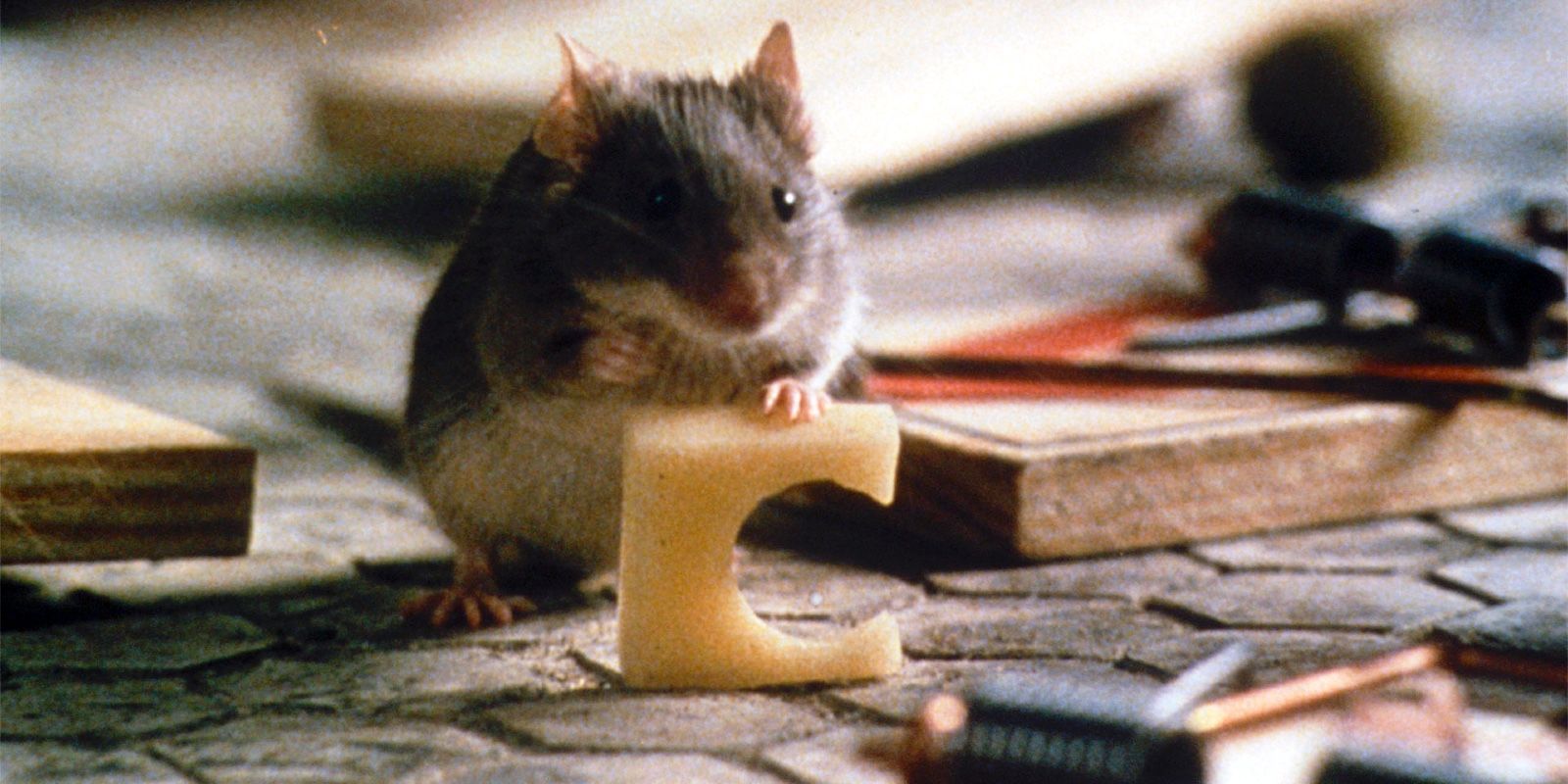 Mouse with cheese in the Mousehunt film