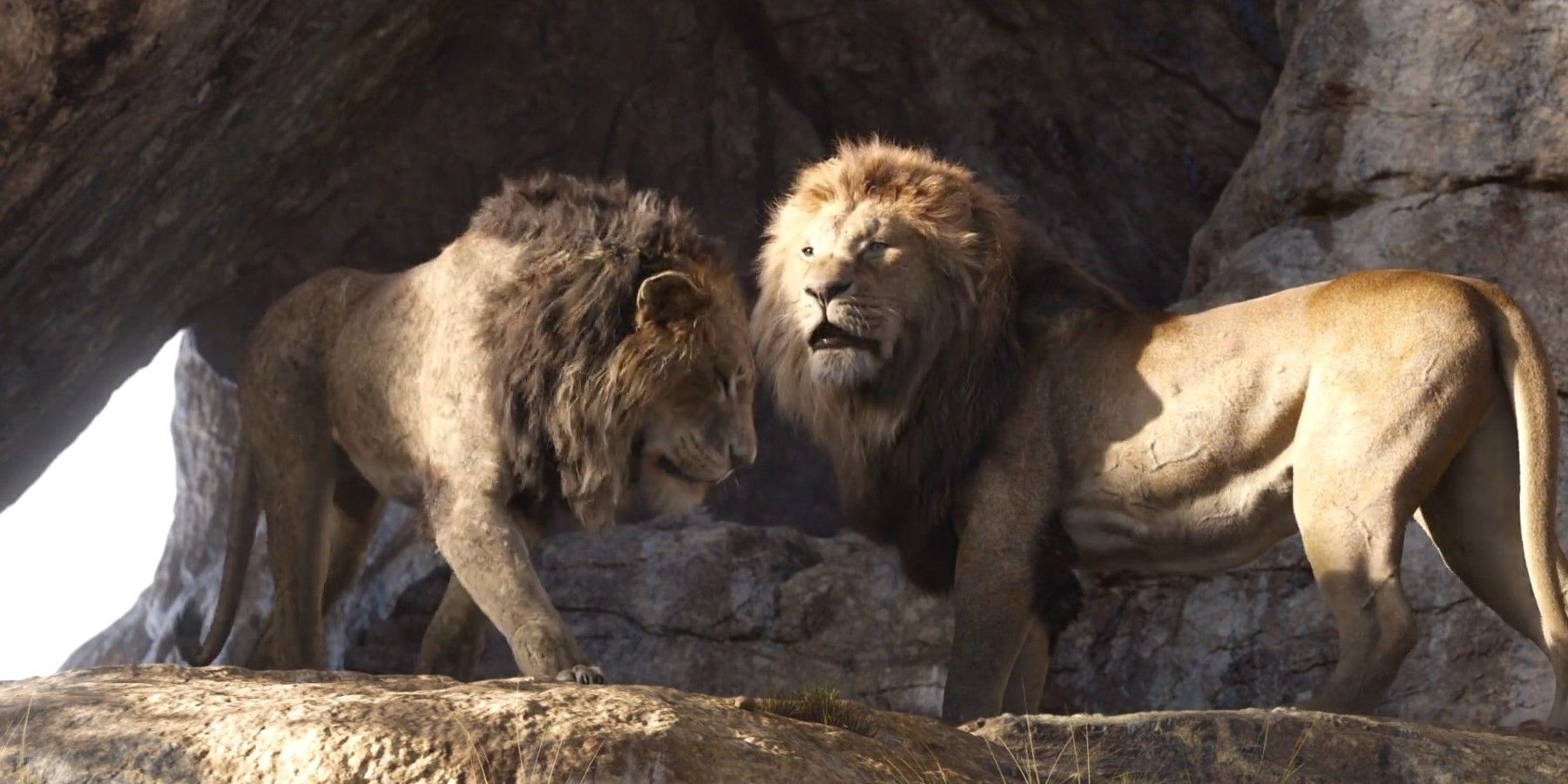 Mufasa And Scar stand on Pride Rock in The Lion King (2019)