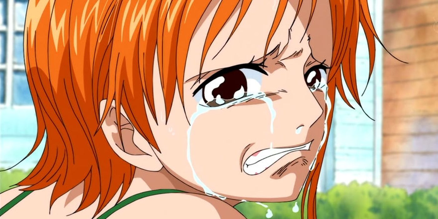 NAMI CRIES FOR LUFFY!!