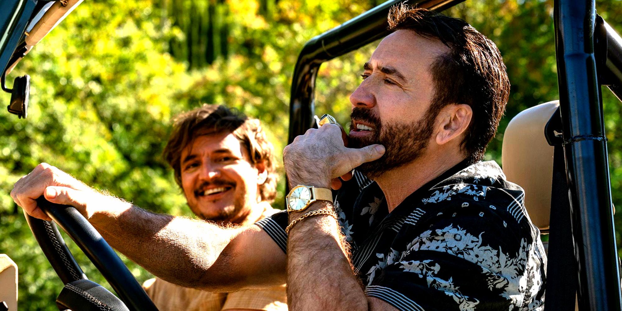 Nick Cage and Pedro Pascal in Unbearable Weight of Massive Talent