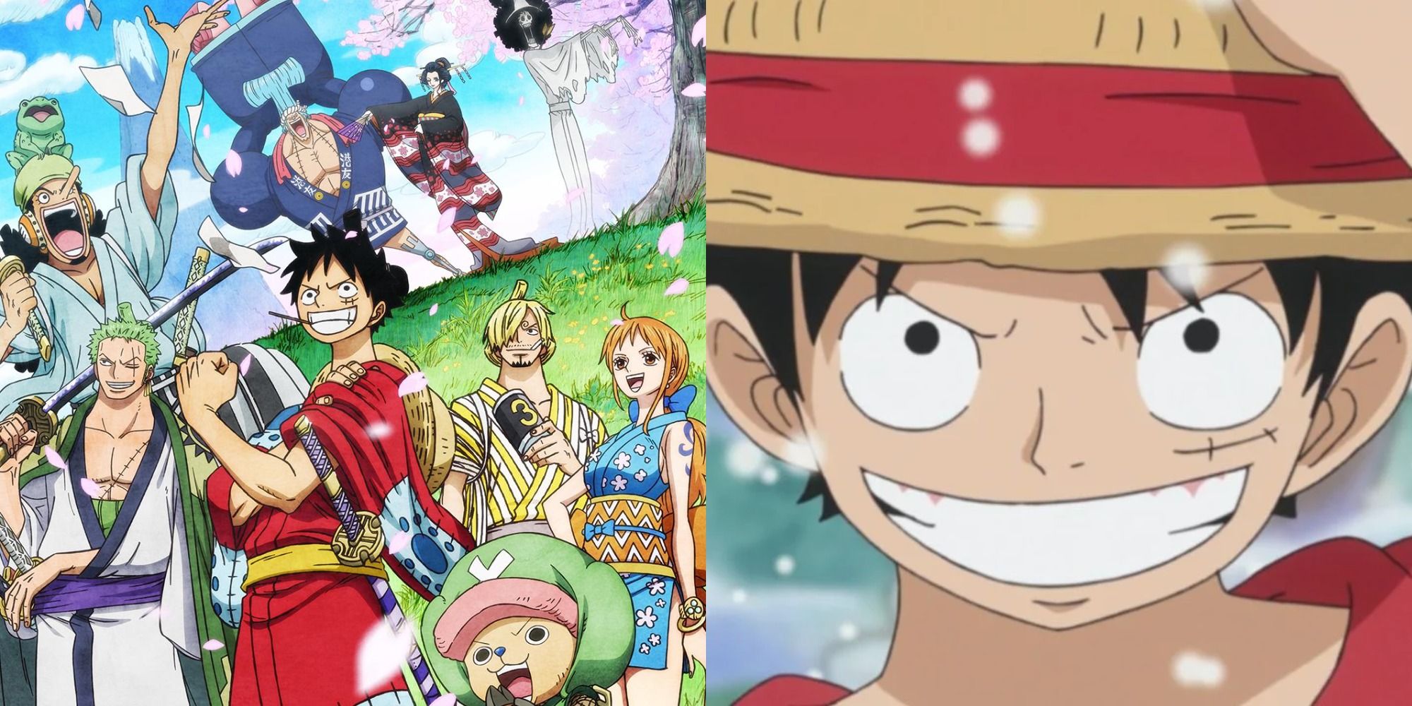 Which characters in One Piece do you believe will end up with each