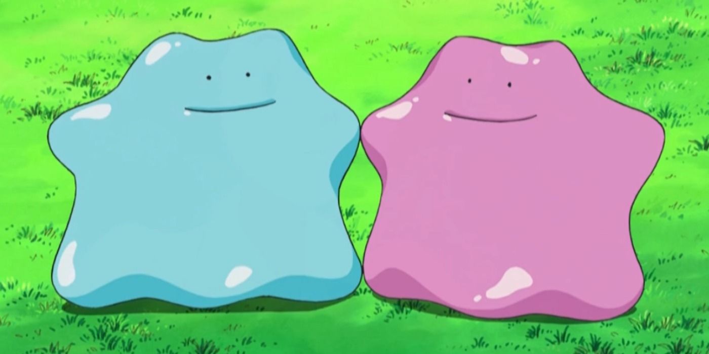 Can Ditto and Ditto breed?
