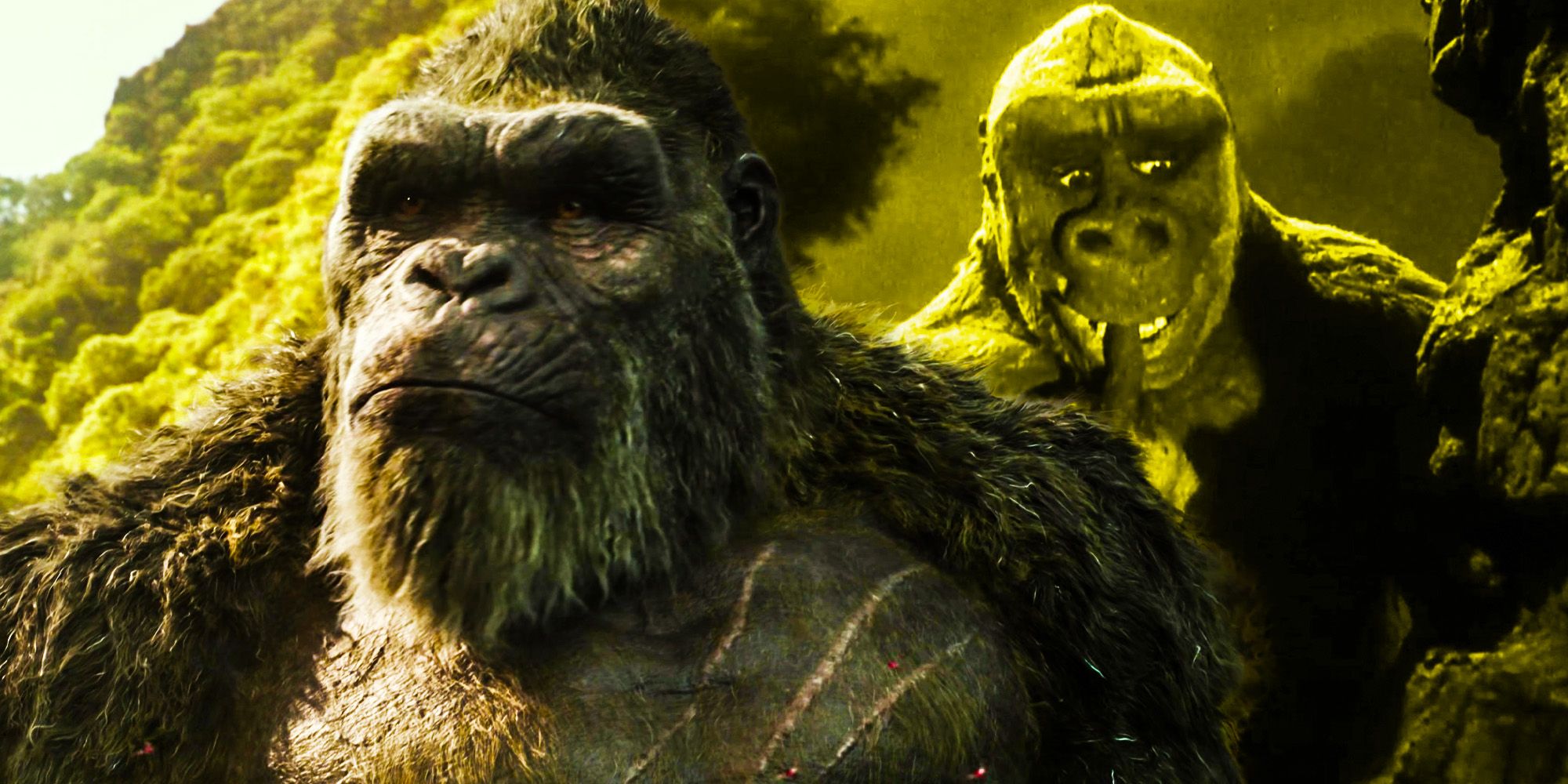 Who Is The Son Of Kong? GvK Sequel Working Title & Story Hints Explained