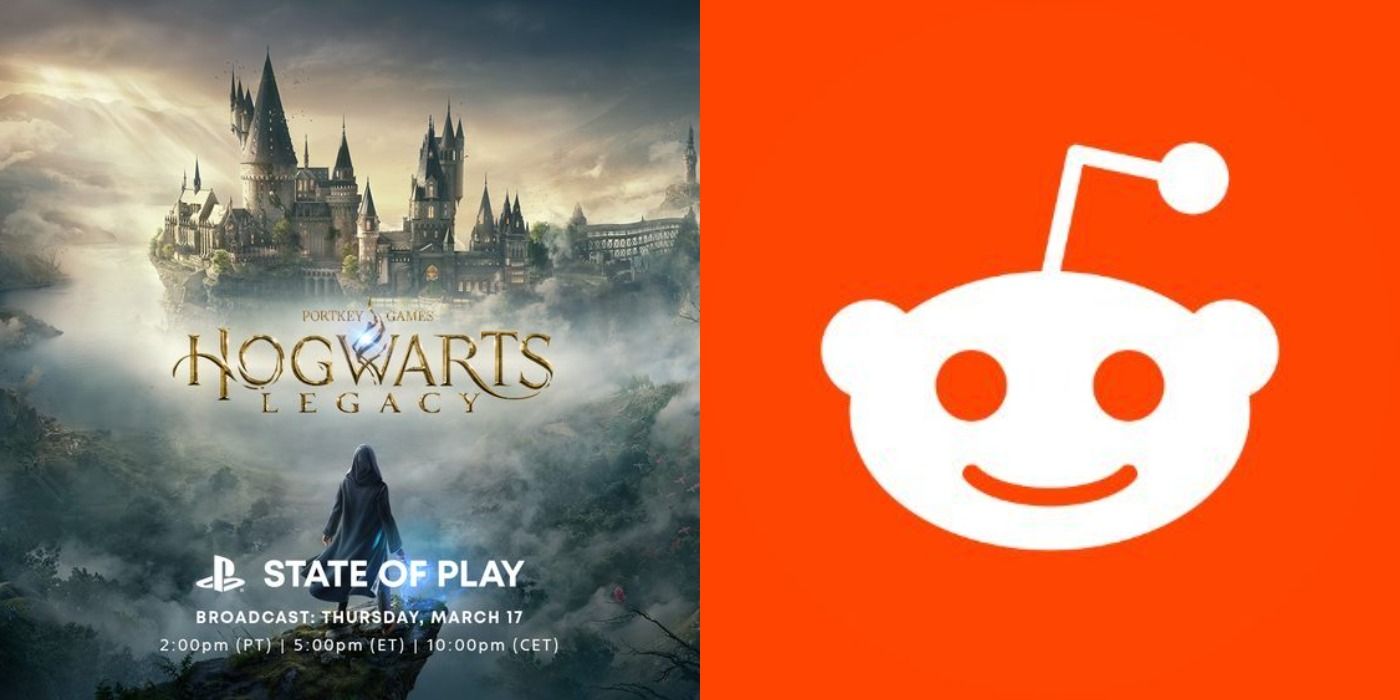 will hogwarts legacy be multiplayer reddit