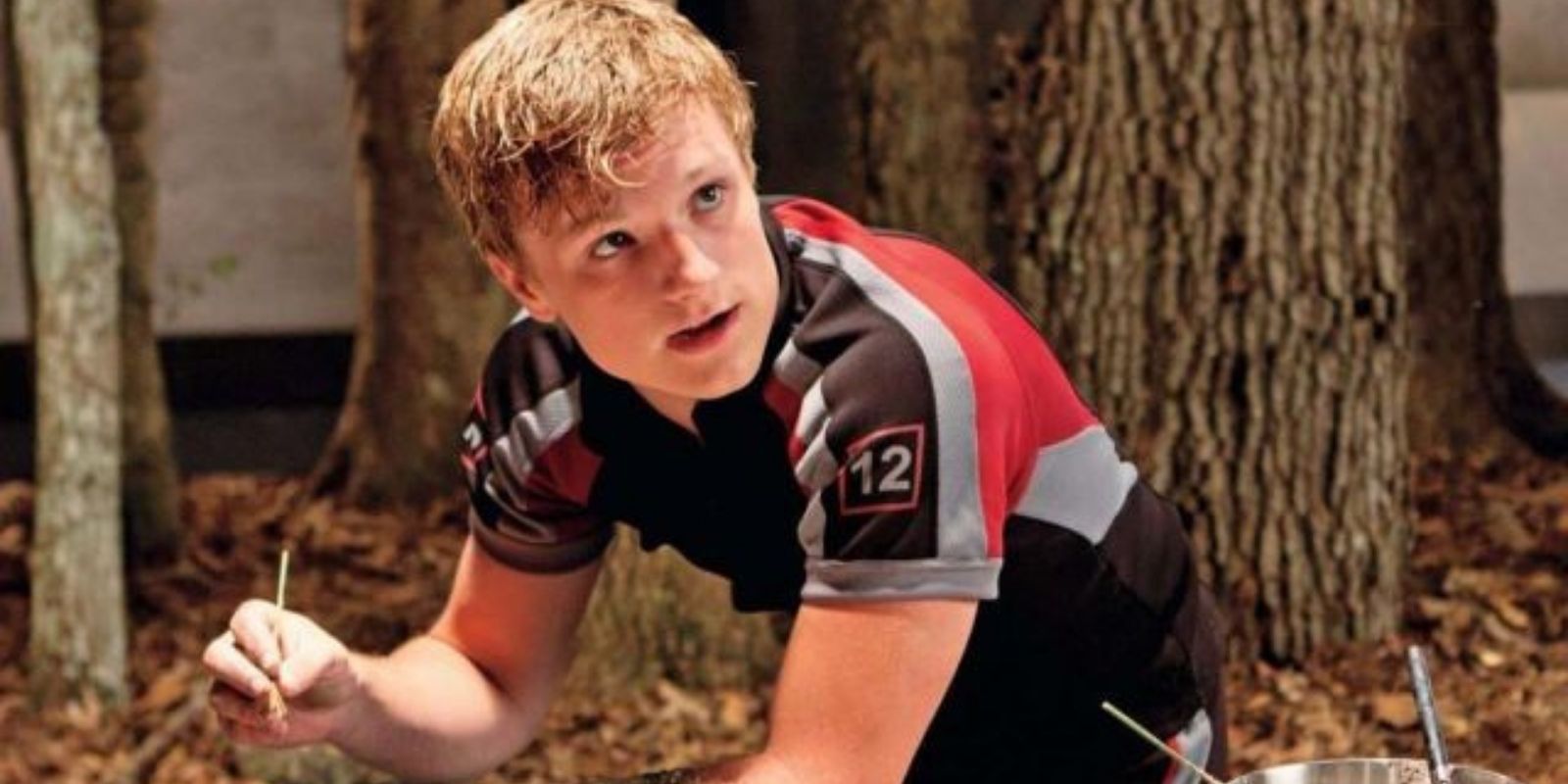 Peeta Hunger Games Painting