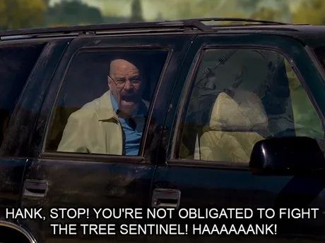 Walter White warns his brother in law, Hank, not to continue fighting the Tree Sentinel