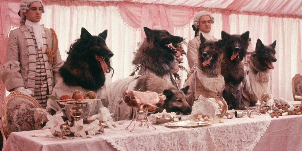 Wolves sit at a diner table in The Company of Wolves