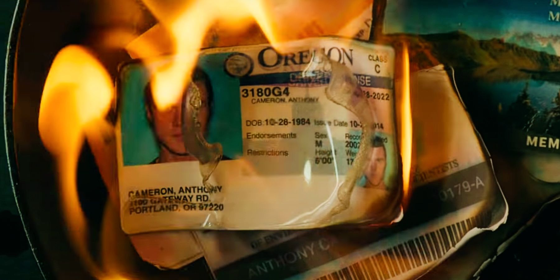 Melinda burns Tony's licenses in Deep Water.