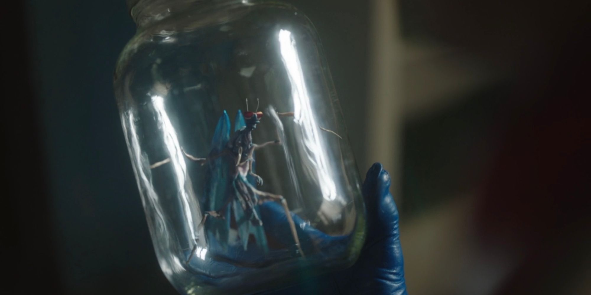 Peacemaker showing an alien Butterfly inside a jar