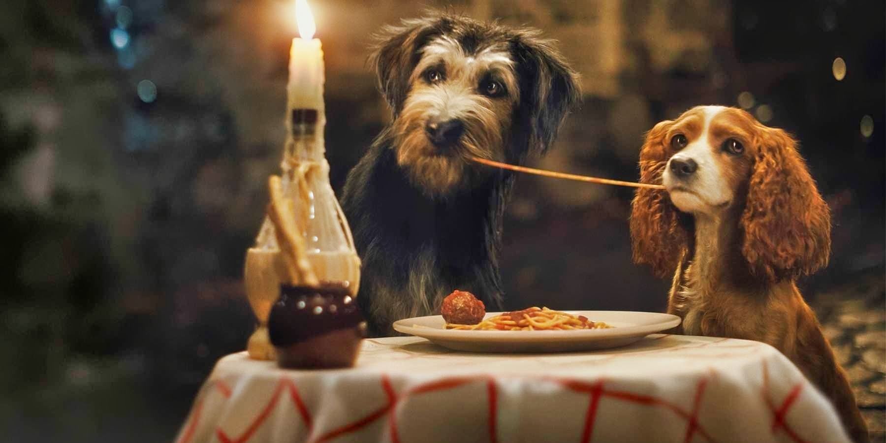 lady and the tramp live-action remake