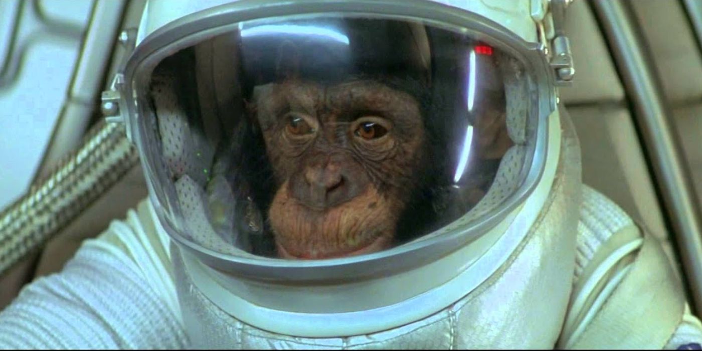 Первая обезьяна полетевшая в космос. Шимпанзе Хэм космонавт. Планета обезьян в космосе. Планета обезьян мартышка космонавт.